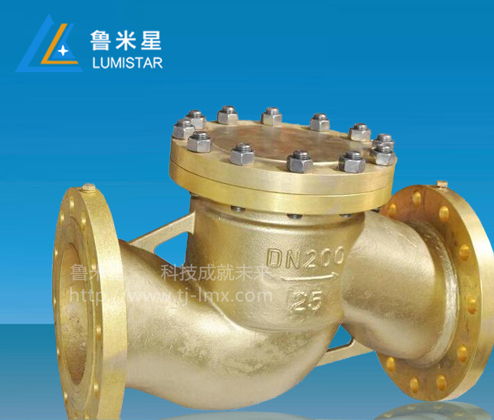 1615020704192231.jpg 氧氣止回閥氧氣閘閥產(chǎn)品圖.jpg